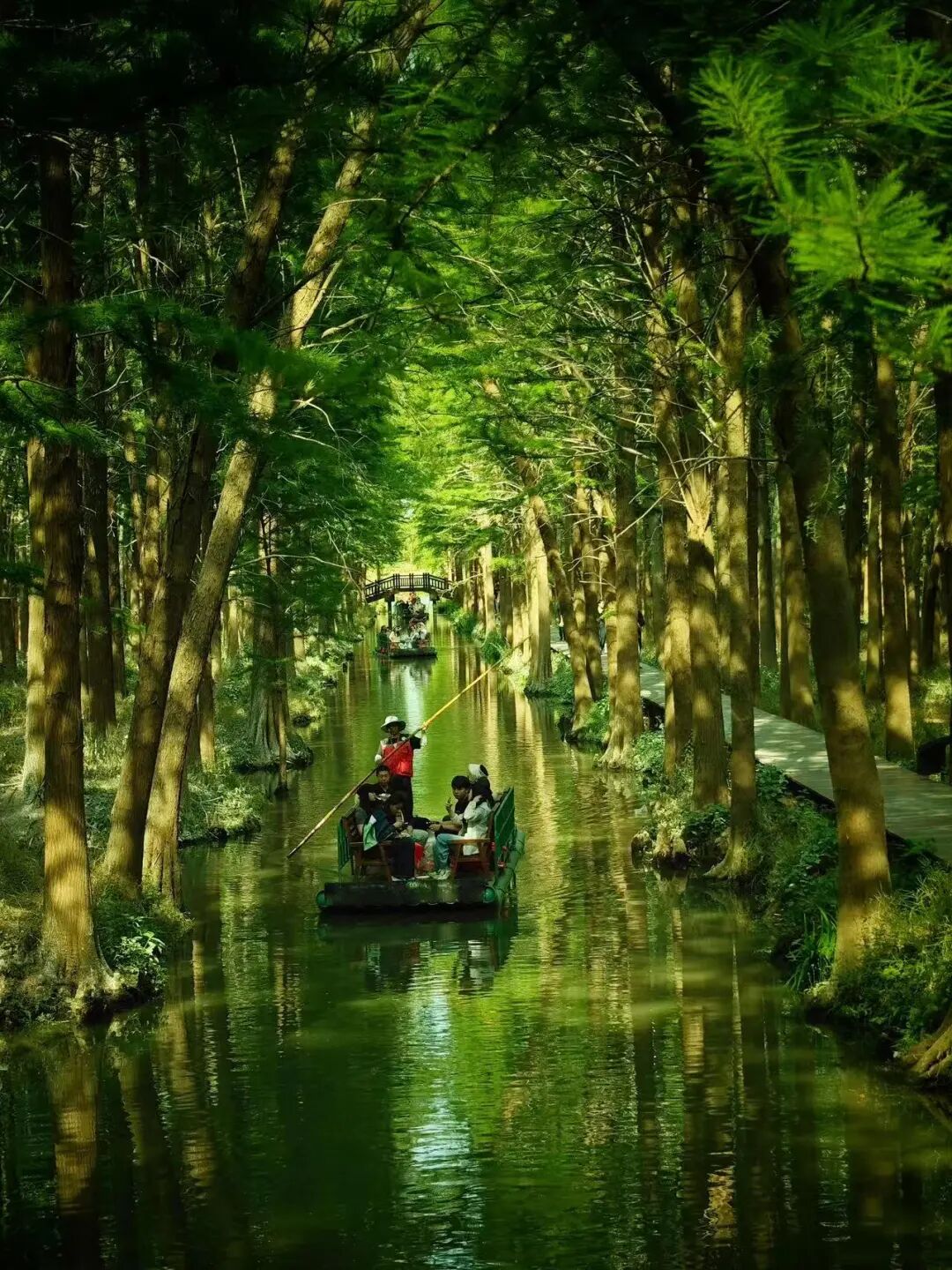 比乌镇人少，比扬州诗意，这座最幸福的早茶小城，蟹黄汤包鲜美，秋天更是美哭了