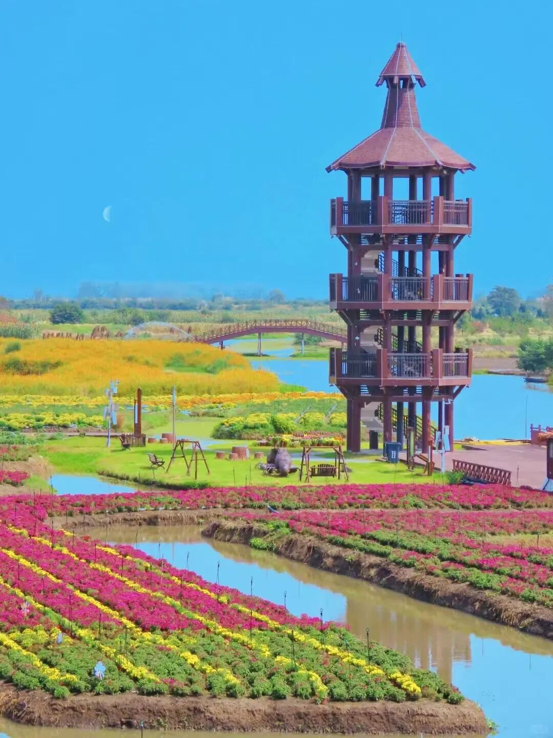 比乌镇人少，比扬州诗意，这座最幸福的早茶小城，蟹黄汤包鲜美，秋天更是美哭了