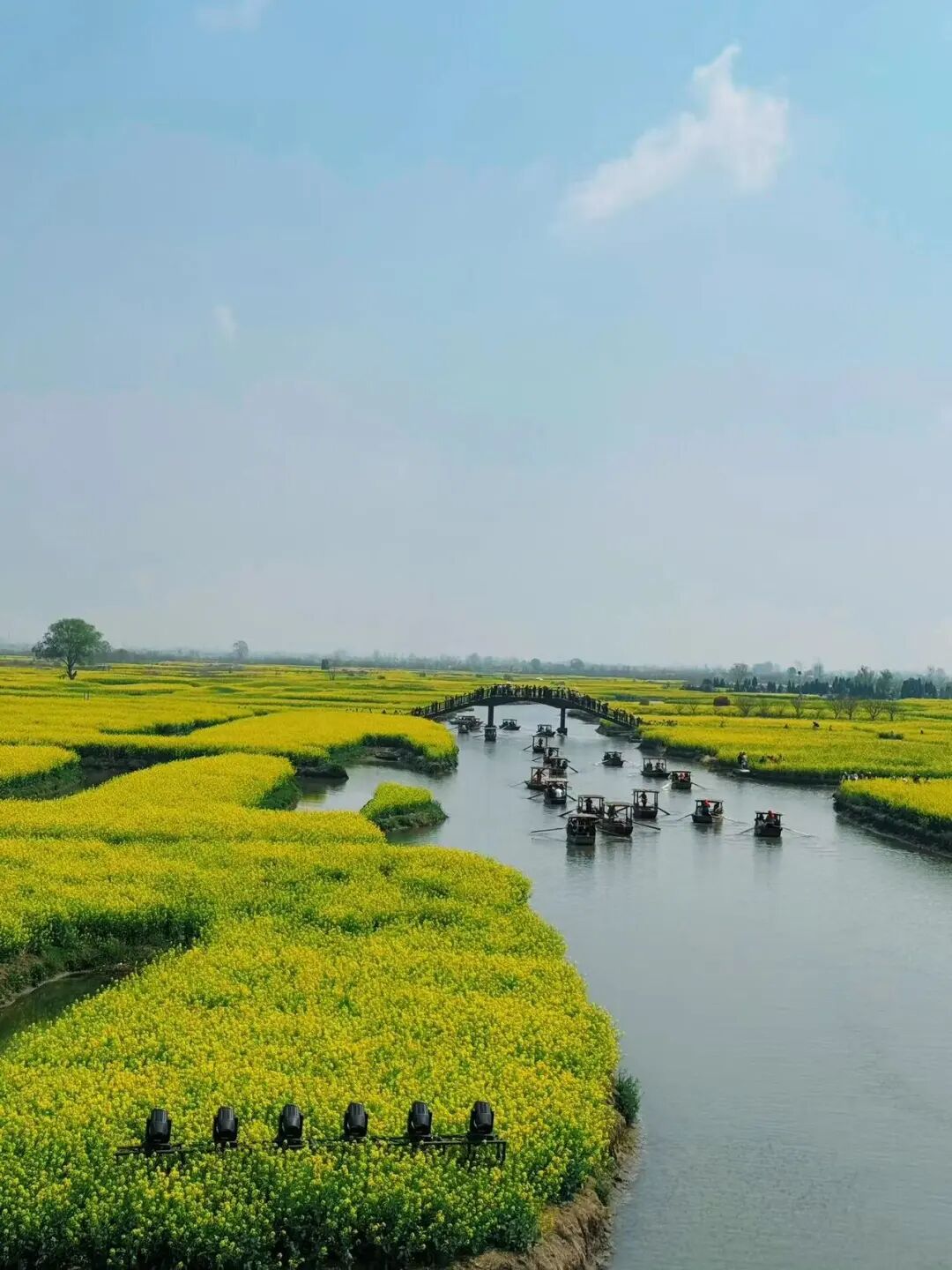 比乌镇人少，比扬州诗意，这座最幸福的早茶小城，蟹黄汤包鲜美，秋天更是美哭了