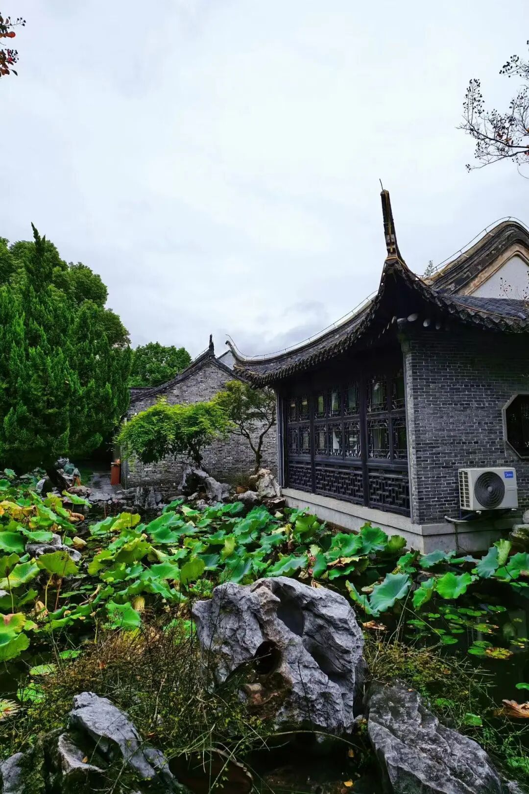 比乌镇人少，比扬州诗意，这座最幸福的早茶小城，蟹黄汤包鲜美，秋天更是美哭了