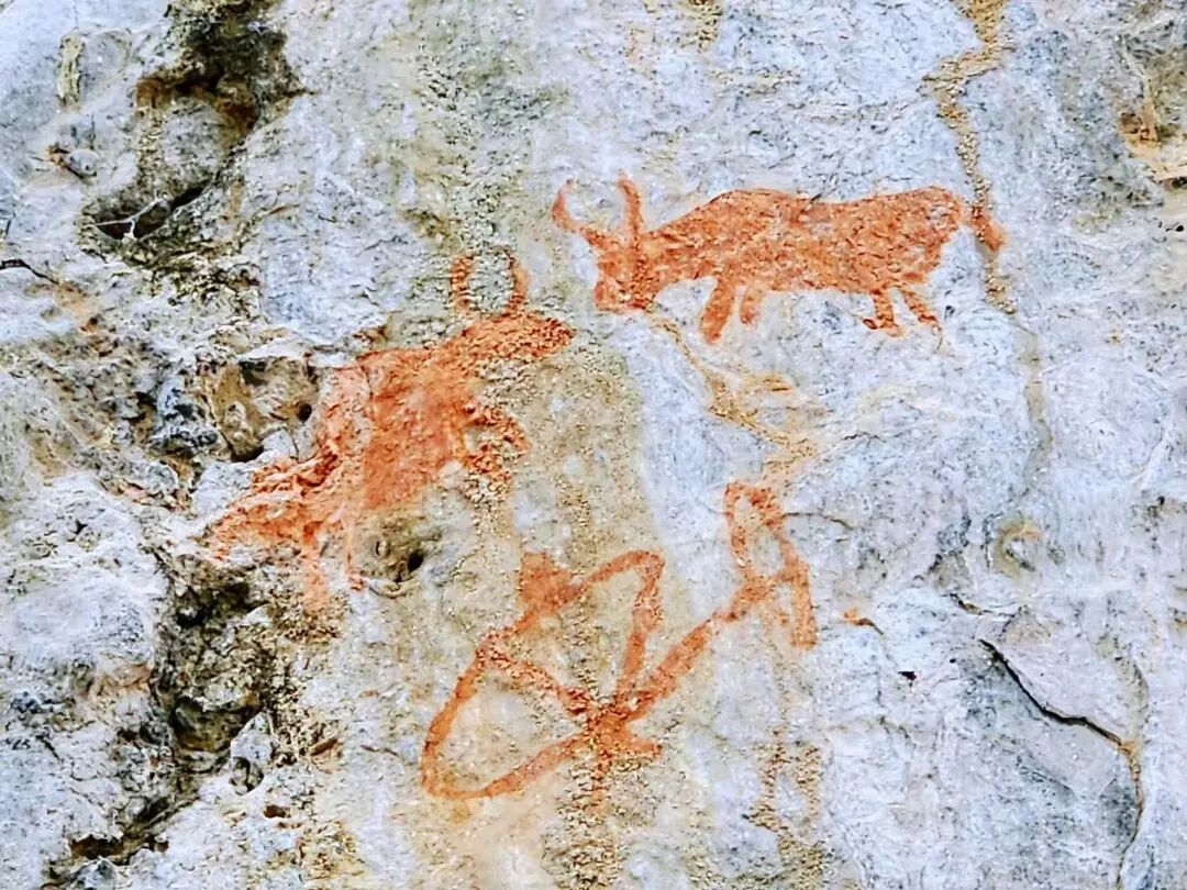 太好玩了，国内竟藏了处这样的秘境！比大理更慢，比丽江古朴，却少有人至！