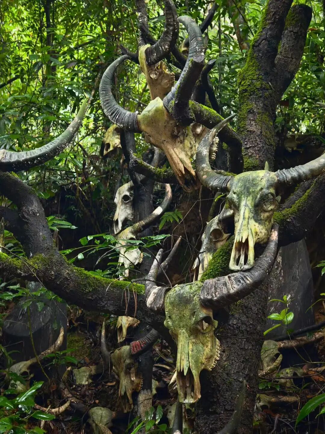 太好玩了，国内竟藏了处这样的秘境！比大理更慢，比丽江古朴，却少有人至！