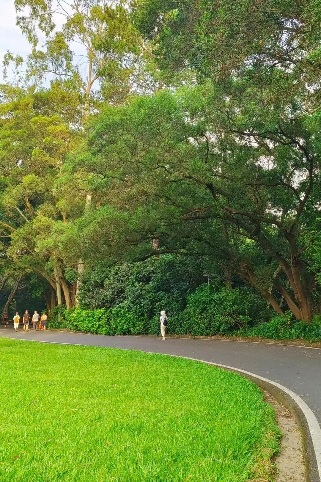 这可能是暑假游客最少的城市！悠闲不输广东，粤气不输香港，主要是真的好吃哭了！