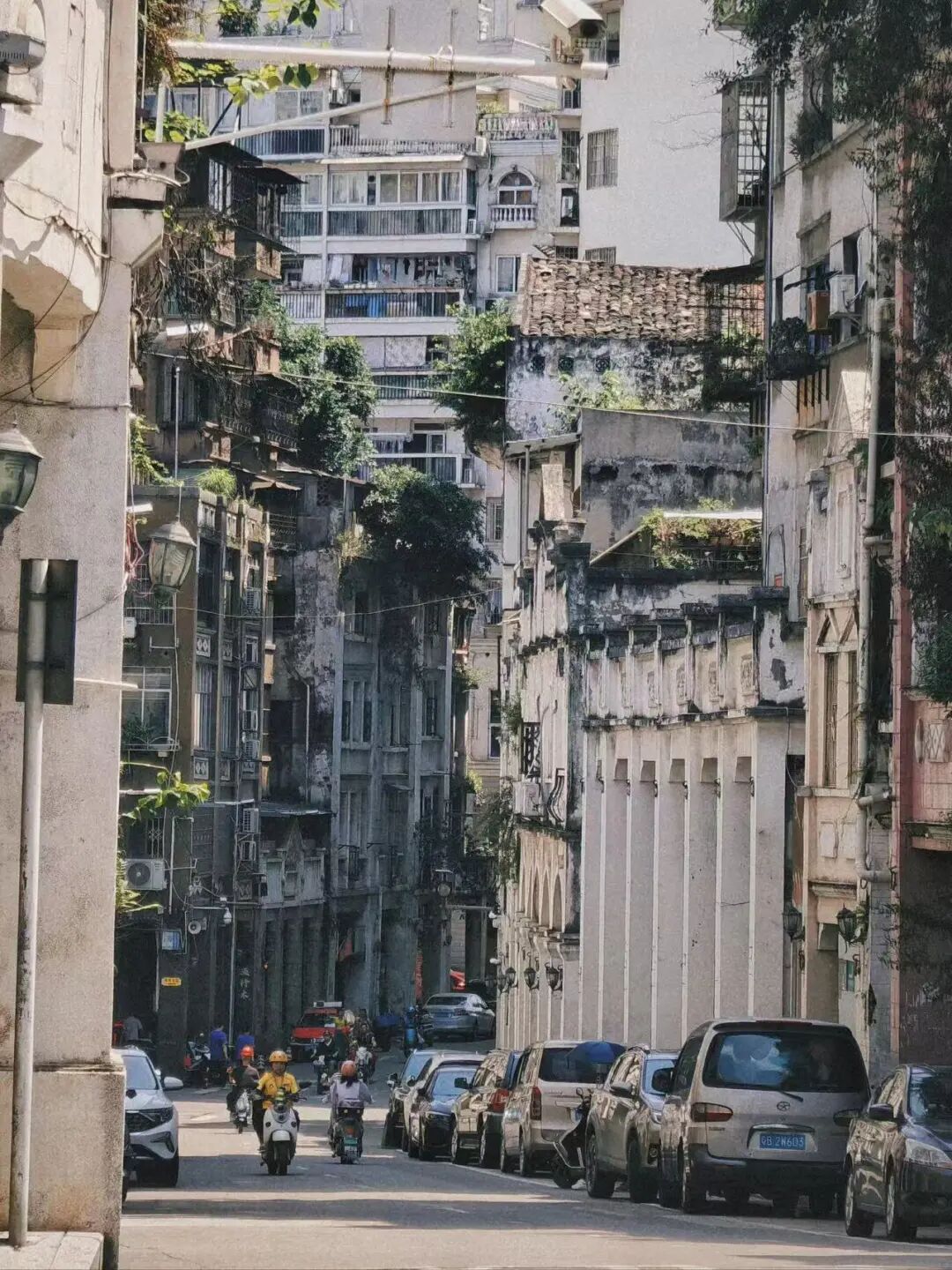 这可能是暑假游客最少的城市！悠闲不输广东，粤气不输香港，主要是真的好吃哭了！