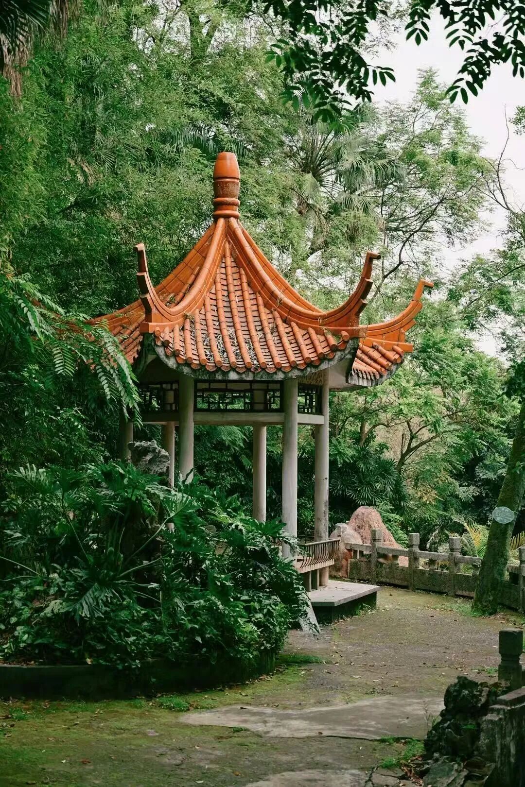 这可能是暑假游客最少的城市！悠闲不输广东，粤气不输香港，主要是真的好吃哭了！