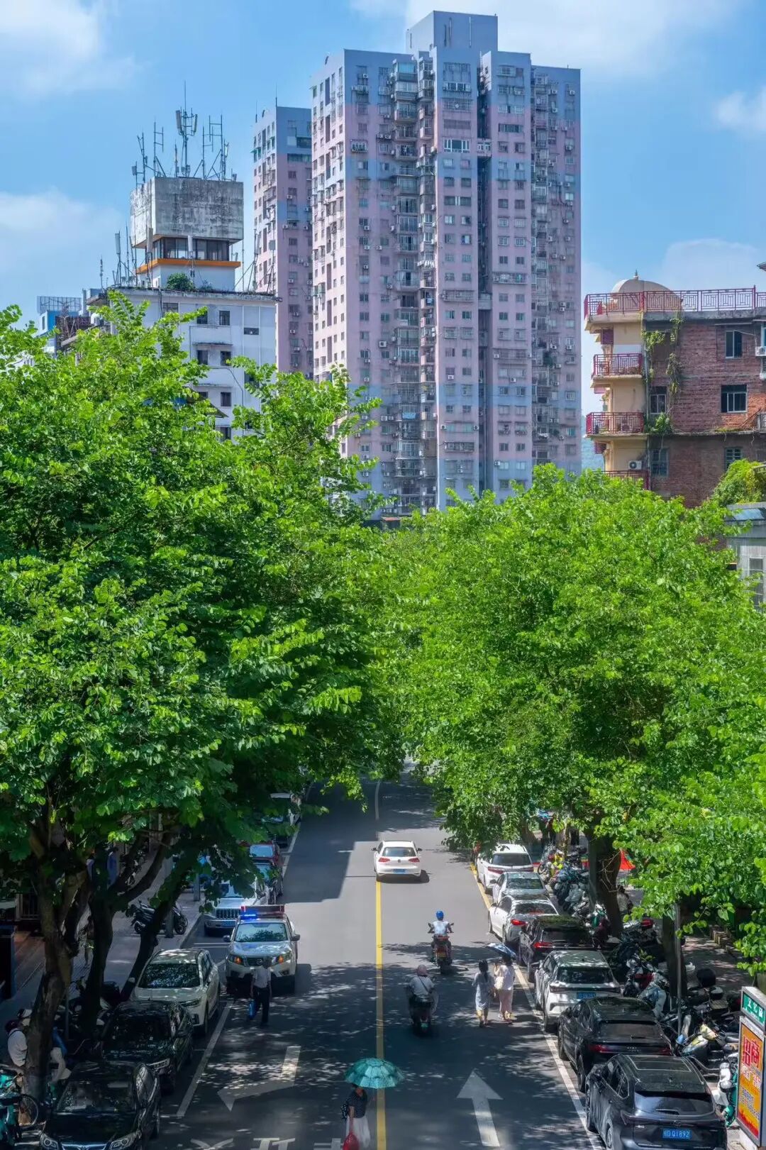 这可能是暑假游客最少的城市！悠闲不输广东，粤气不输香港，主要是真的好吃哭了！
