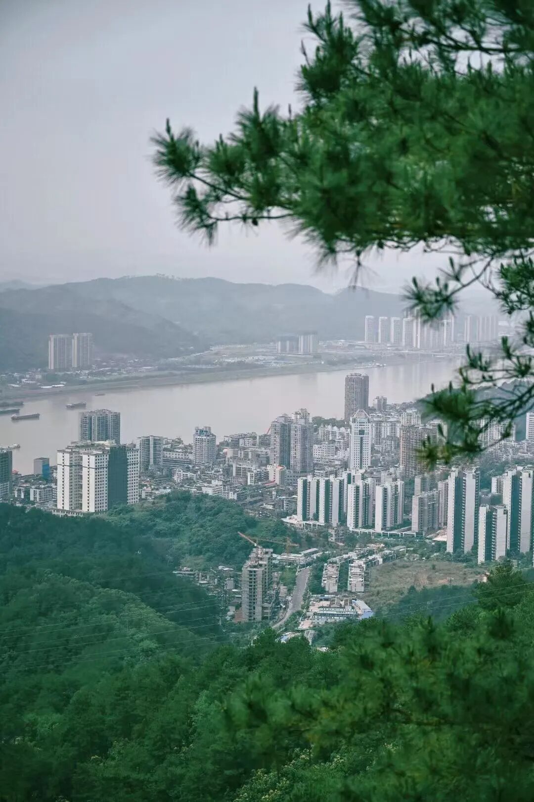 这可能是暑假游客最少的城市！悠闲不输广东，粤气不输香港，主要是真的好吃哭了！