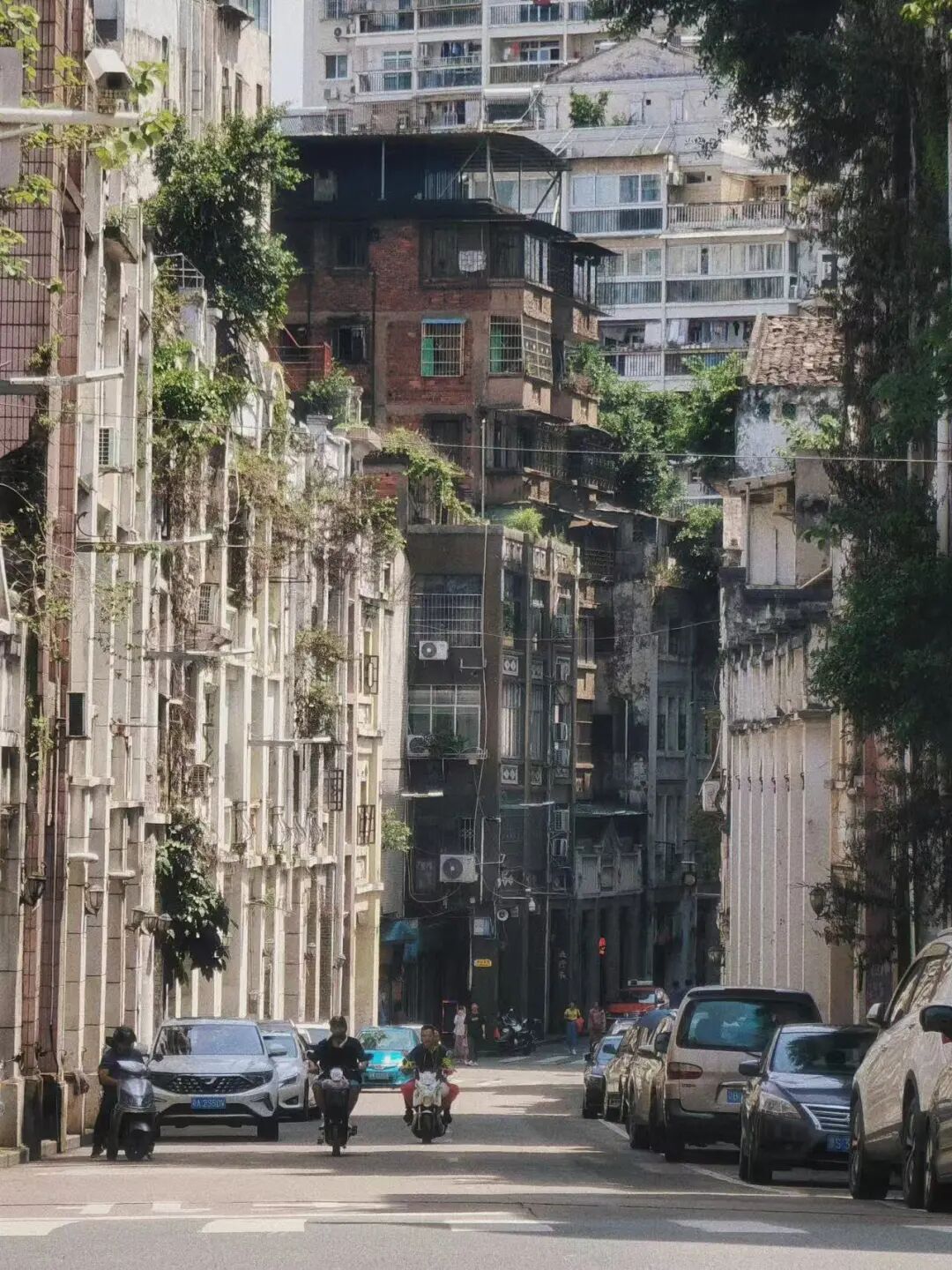 这可能是暑假游客最少的城市！悠闲不输广东，粤气不输香港，主要是真的好吃哭了！