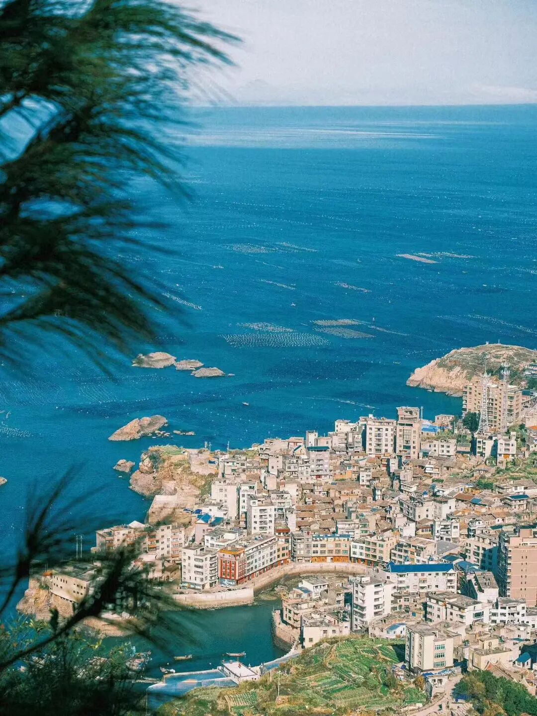 比厦门人少，比海南便宜！藏在渔村里的中国版小里约，太适合去小住几天了！