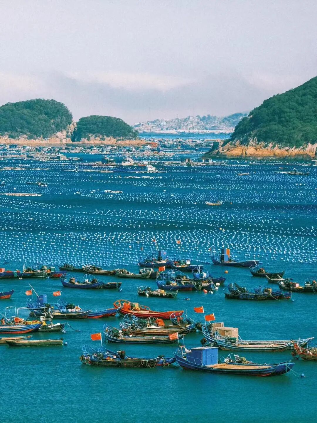 比厦门人少，比海南便宜！藏在渔村里的中国版小里约，太适合去小住几天了！