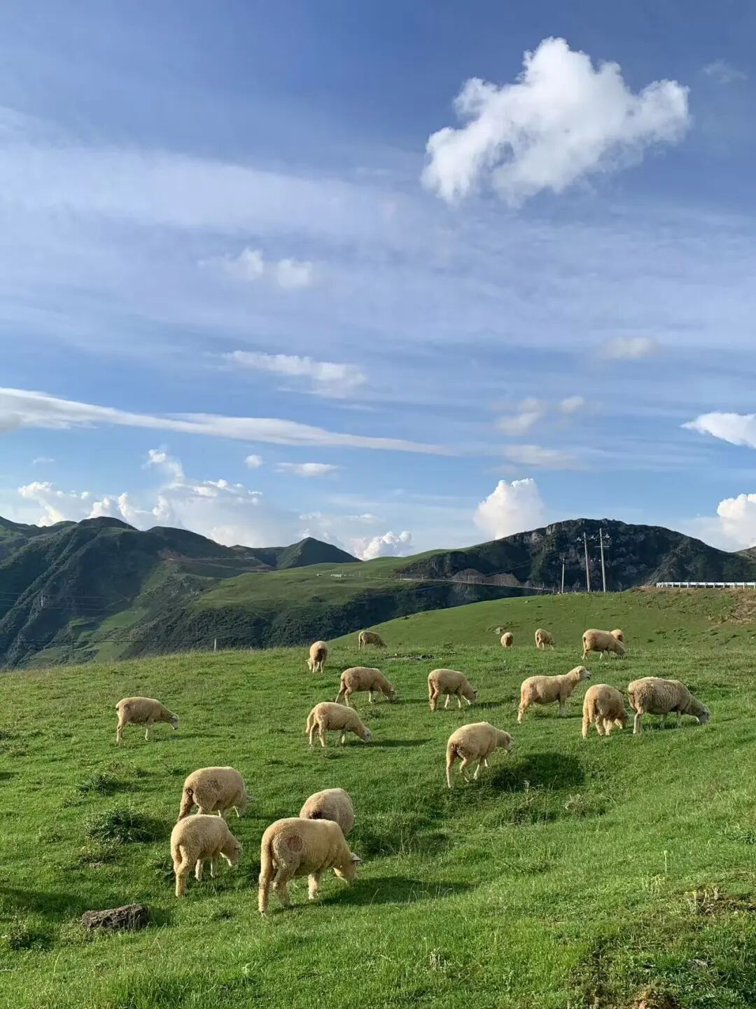 最适合一个人发呆的小城，比贵州凉快，比大理更慢，夏天才20℃，6元嗦凉粉！