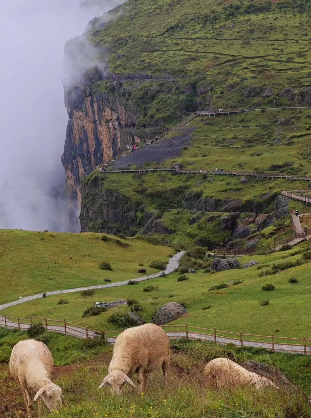 最适合一个人发呆的小城，比贵州凉快，比大理更慢，夏天才20℃，6元嗦凉粉！