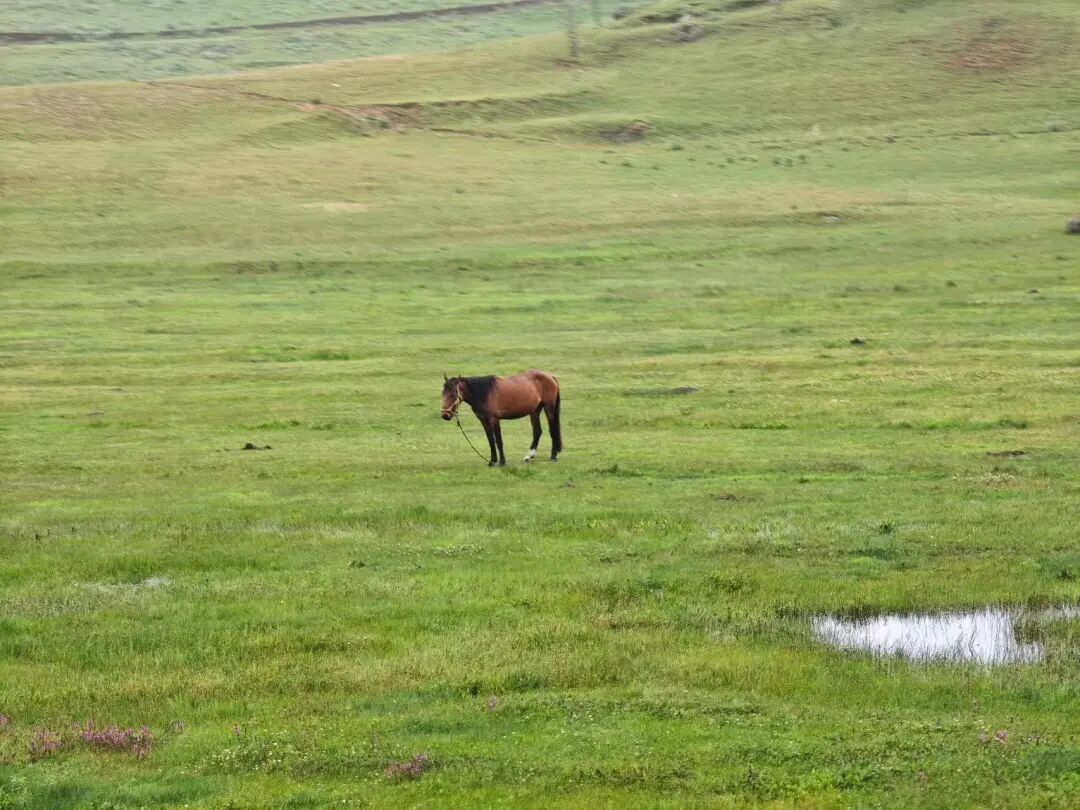 最适合一个人发呆的小城，比贵州凉快，比大理更慢，夏天才20℃，6元嗦凉粉！