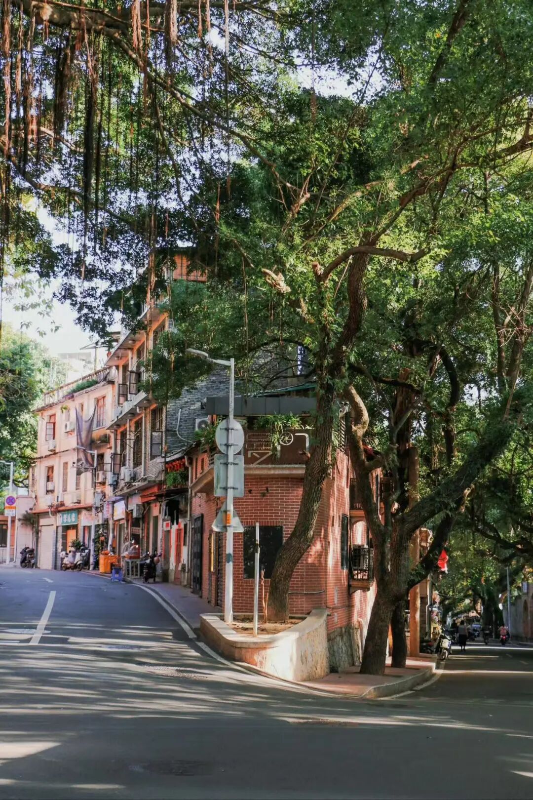 出门就有满街小吃，人均¥30尝遍山海味，这座惬意老城，陈晓卿连吃2天都不够