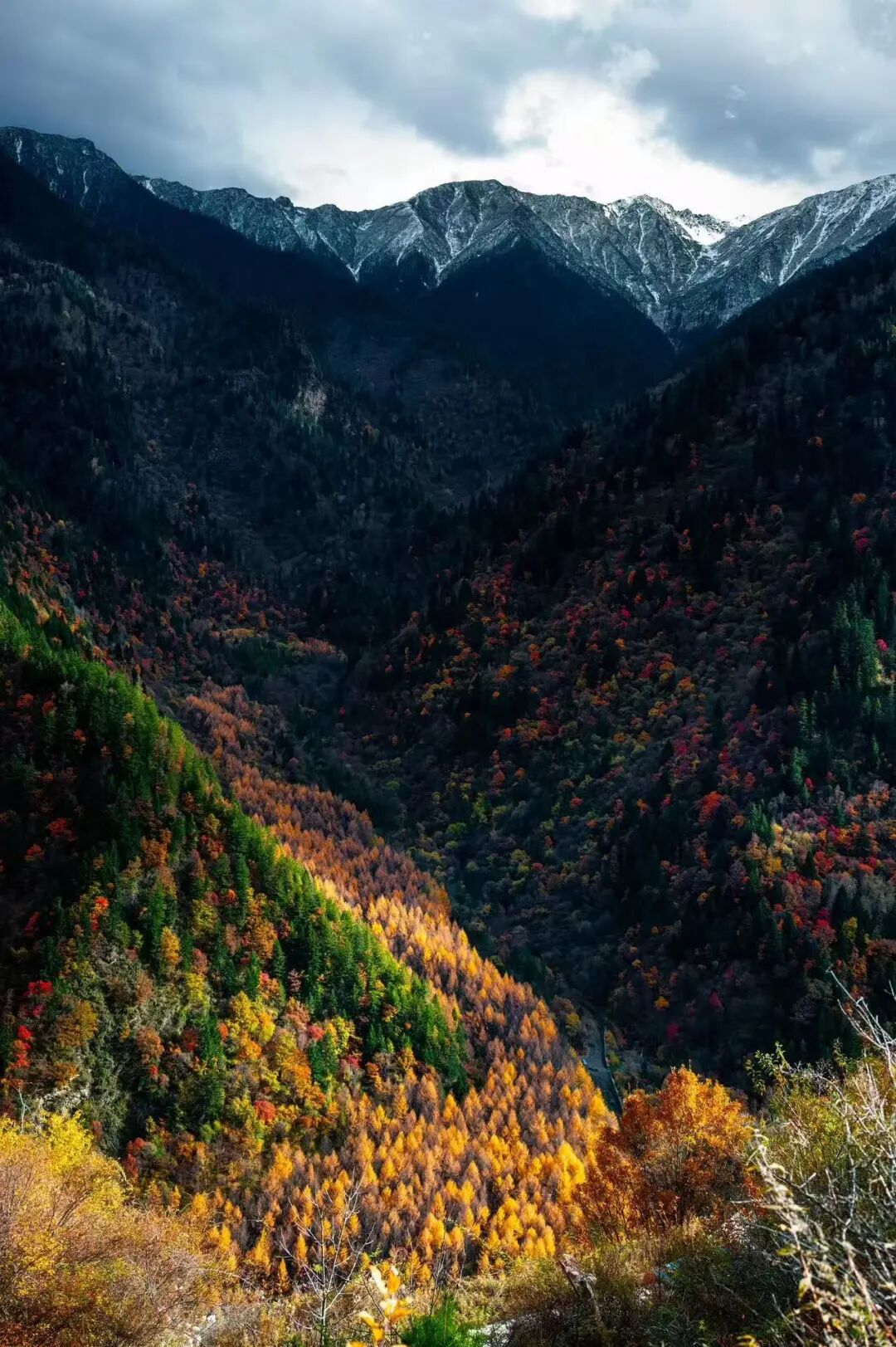 比九寨沟丰满20倍！这个亚洲最美县城，开车4h，彩林绝美却低调到令人心疼！