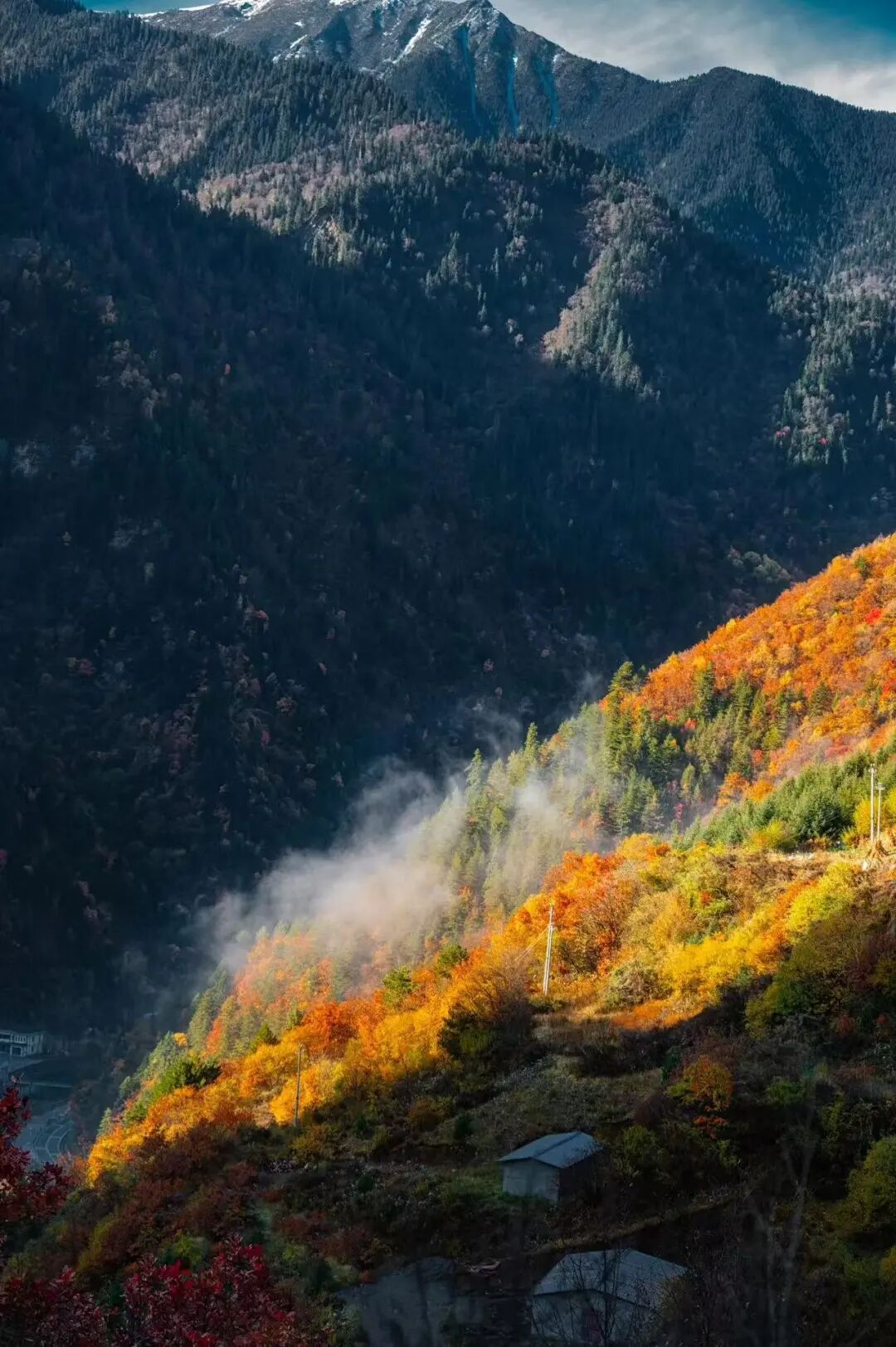 比九寨沟丰满20倍！这个亚洲最美县城，开车4h，彩林绝美却低调到令人心疼！