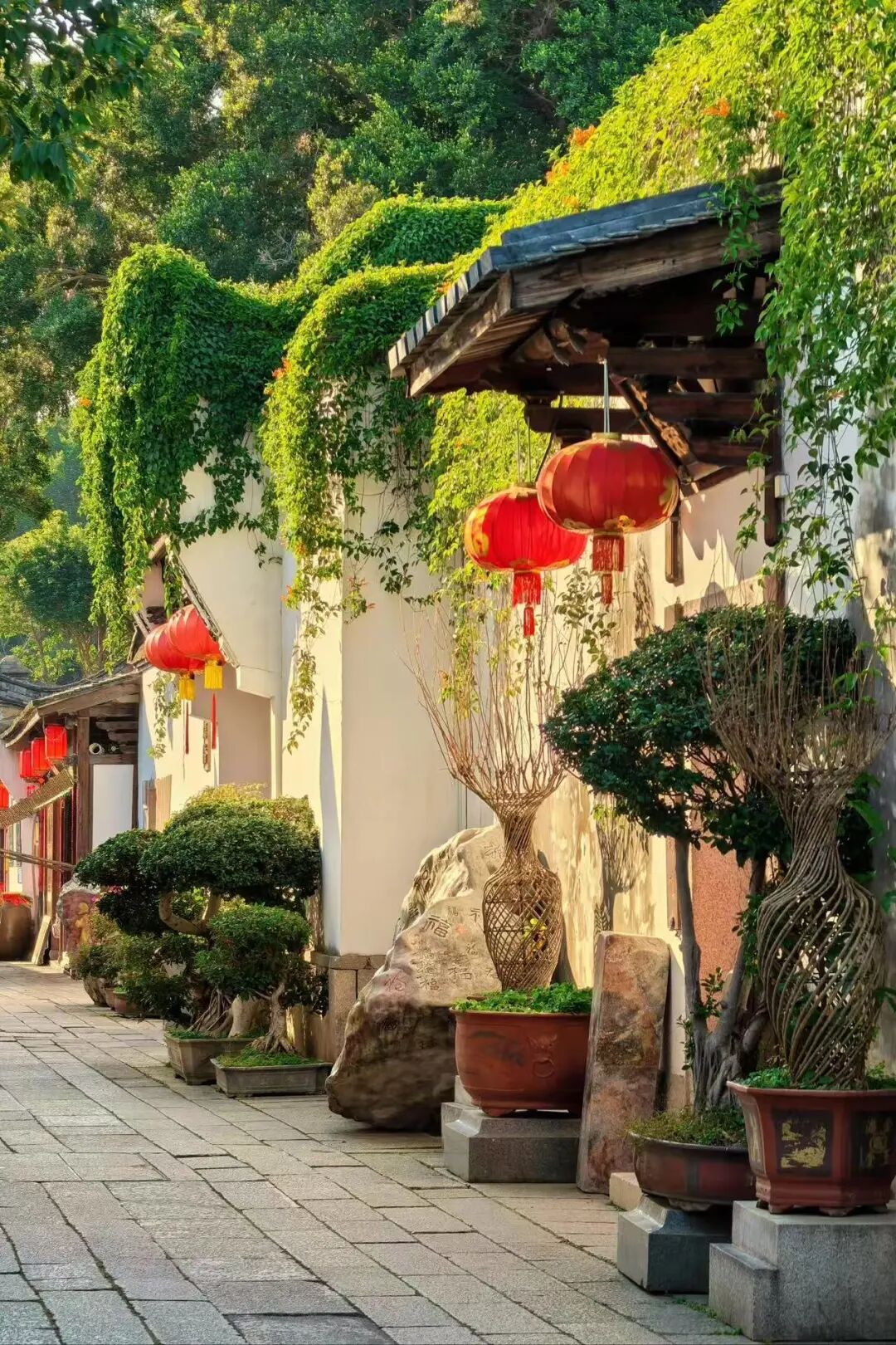 出门就有满街小吃，人均¥30尝遍山海味，这座惬意老城，陈晓卿连吃2天都不够