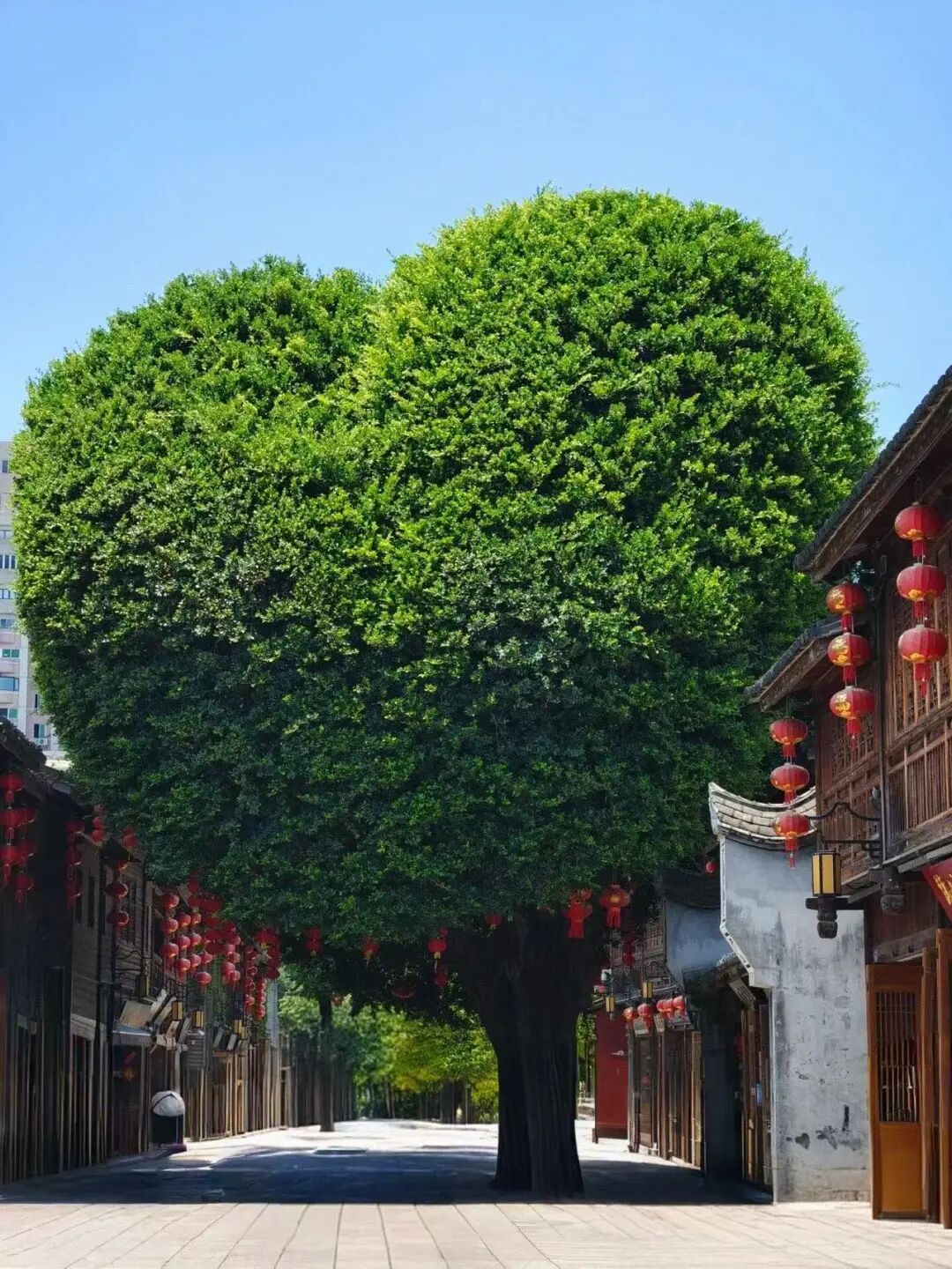 出门就有满街小吃，人均¥30尝遍山海味，这座惬意老城，陈晓卿连吃2天都不够