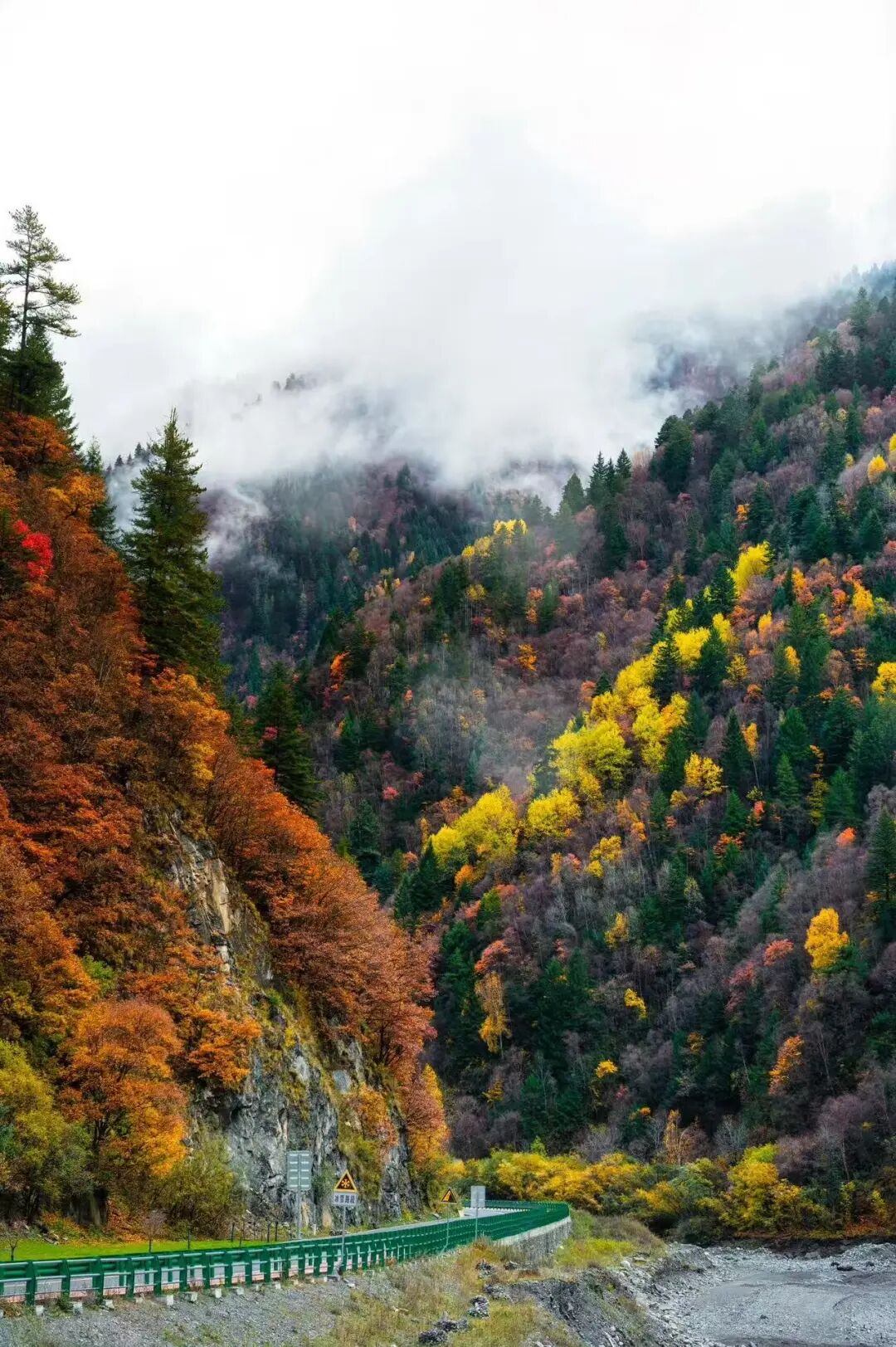 比九寨沟丰满20倍！这个亚洲最美县城，开车4h，彩林绝美却低调到令人心疼！