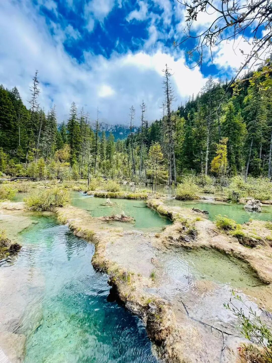 比九寨沟丰满20倍！这个亚洲最美县城，开车4h，彩林绝美却低调到令人心疼！