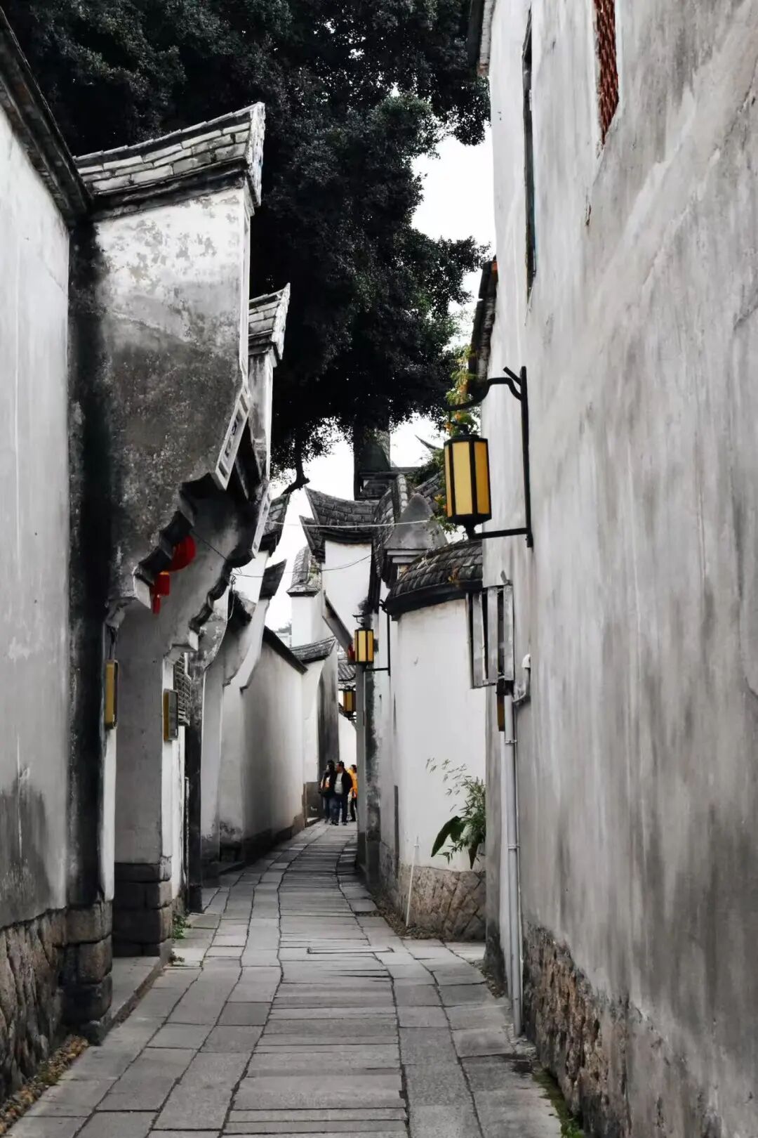 出门就有满街小吃，人均¥30尝遍山海味，这座惬意老城，陈晓卿连吃2天都不够