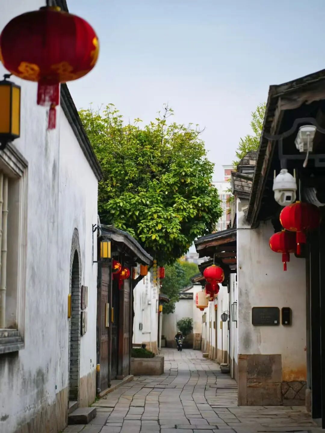 出门就有满街小吃，人均¥30尝遍山海味，这座惬意老城，陈晓卿连吃2天都不够