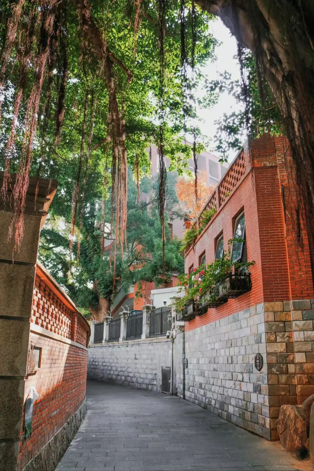 出门就有满街小吃，人均¥30尝遍山海味，这座惬意老城，陈晓卿连吃2天都不够