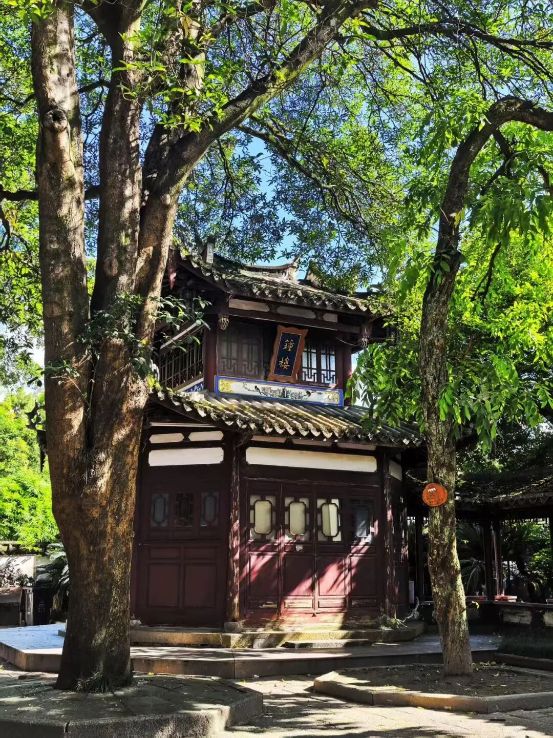 出门就有满街小吃，人均¥30尝遍山海味，这座惬意老城，陈晓卿连吃2天都不够