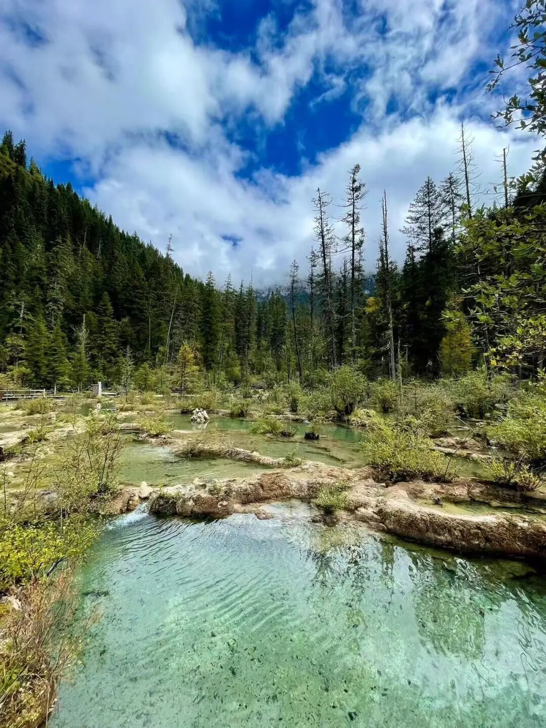 比九寨沟丰满20倍！这个亚洲最美县城，开车4h，彩林绝美却低调到令人心疼！