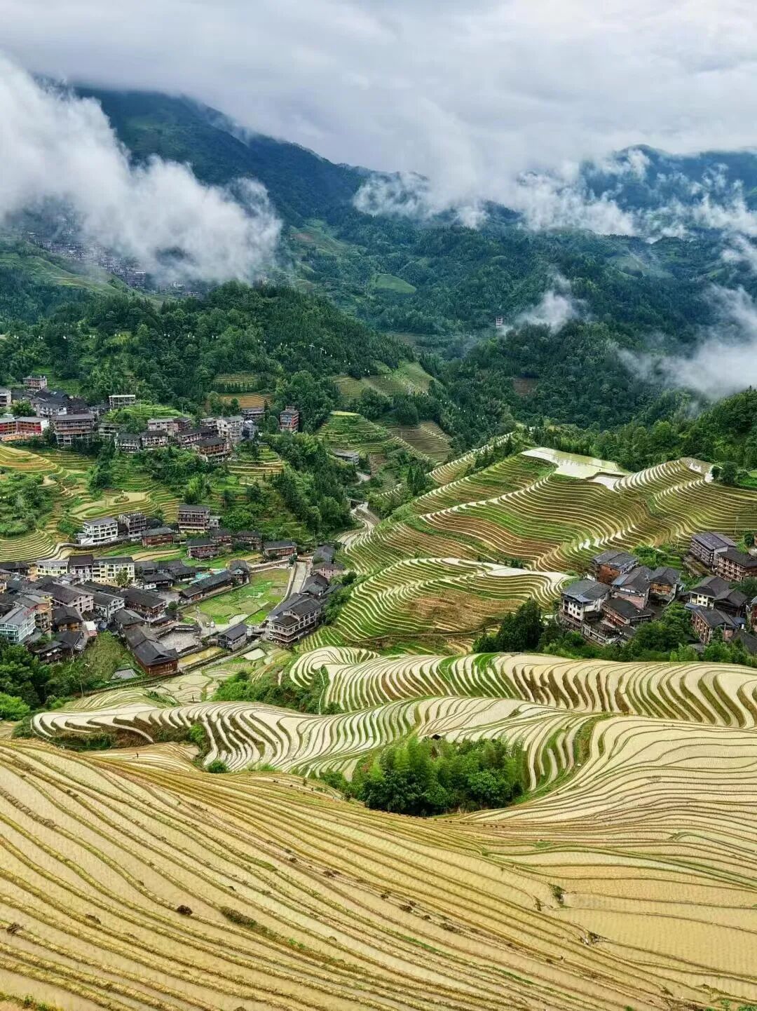 全国最“被低估”的城市！闲适不输成都，美食不逊广州，凭一碗粉惊艳了世界，还是养老圣地