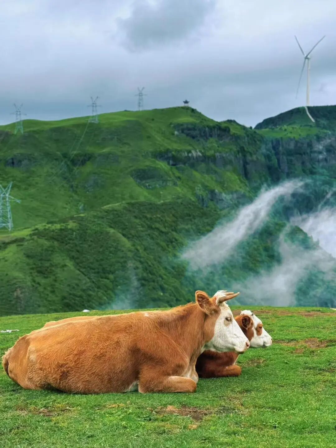 夏天仅19℃！比贵阳还好吃，中国唯一的凉都，人均30元炫火锅，碳水遍地！