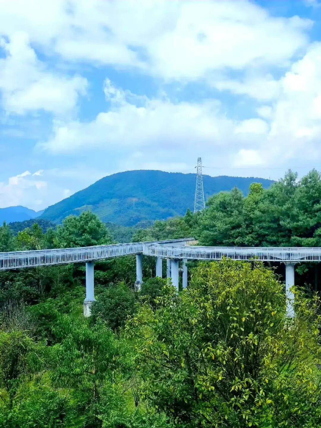 夏天仅19℃！比贵阳还好吃，中国唯一的凉都，人均30元炫火锅，碳水遍地！