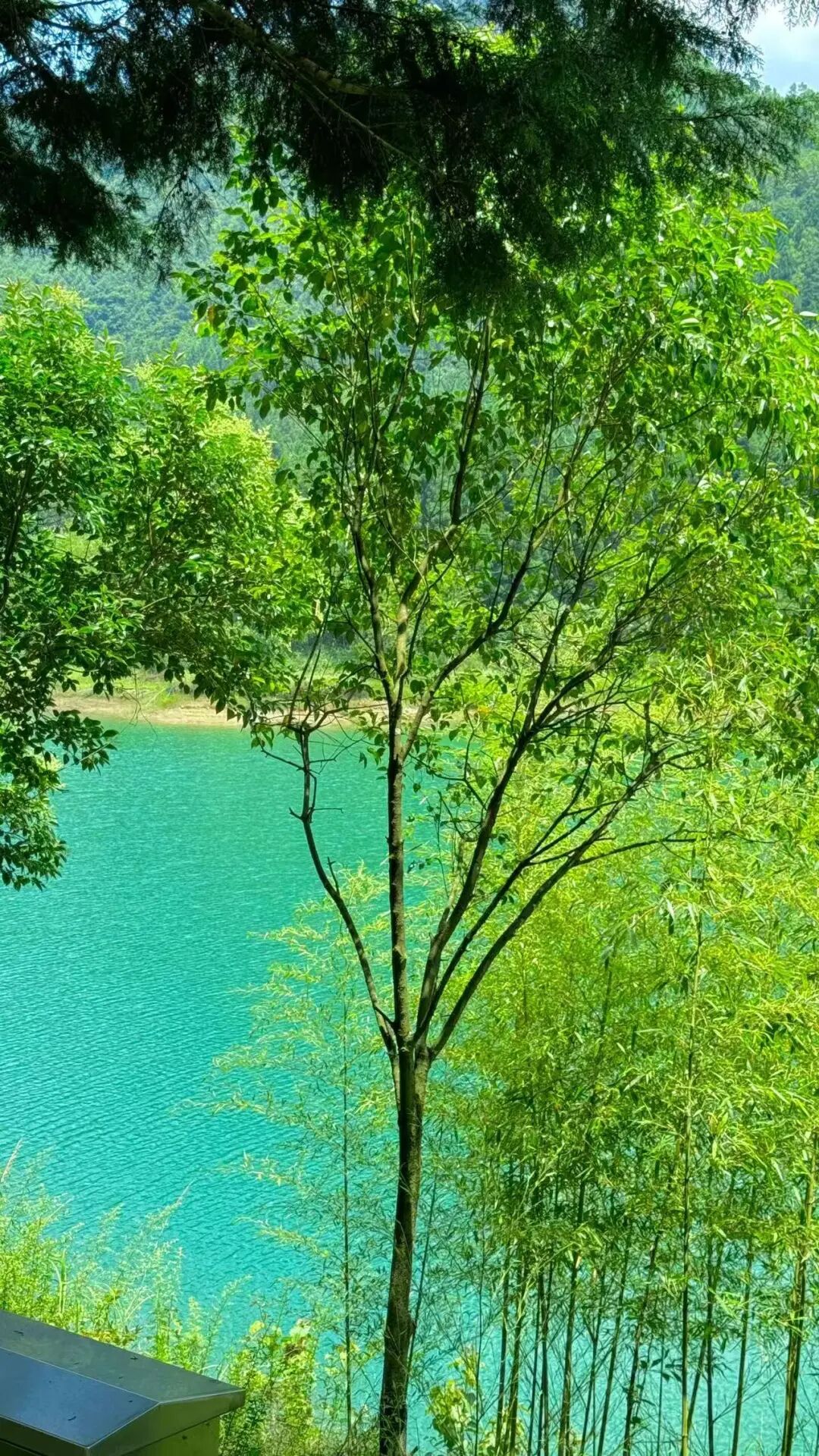 夏天仅19℃！比贵阳还好吃，中国唯一的凉都，人均30元炫火锅，碳水遍地！