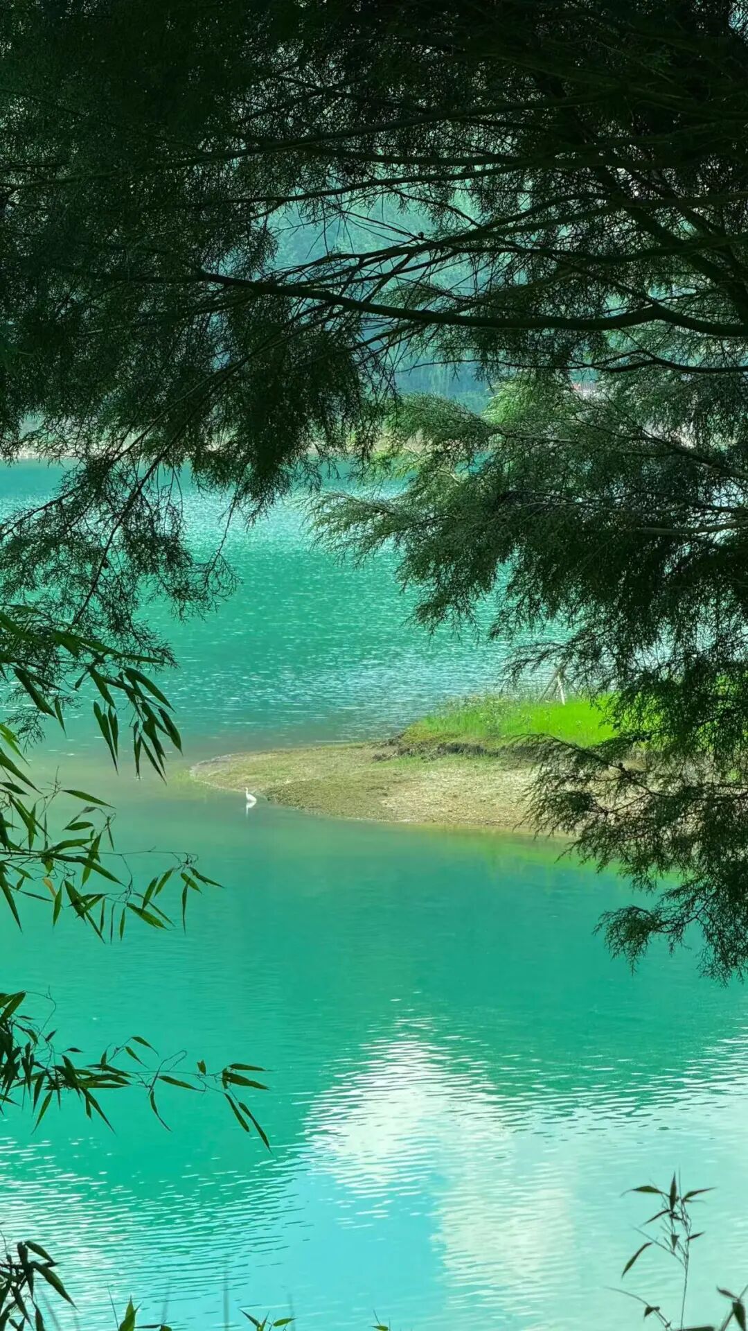 夏天仅19℃！比贵阳还好吃，中国唯一的凉都，人均30元炫火锅，碳水遍地！