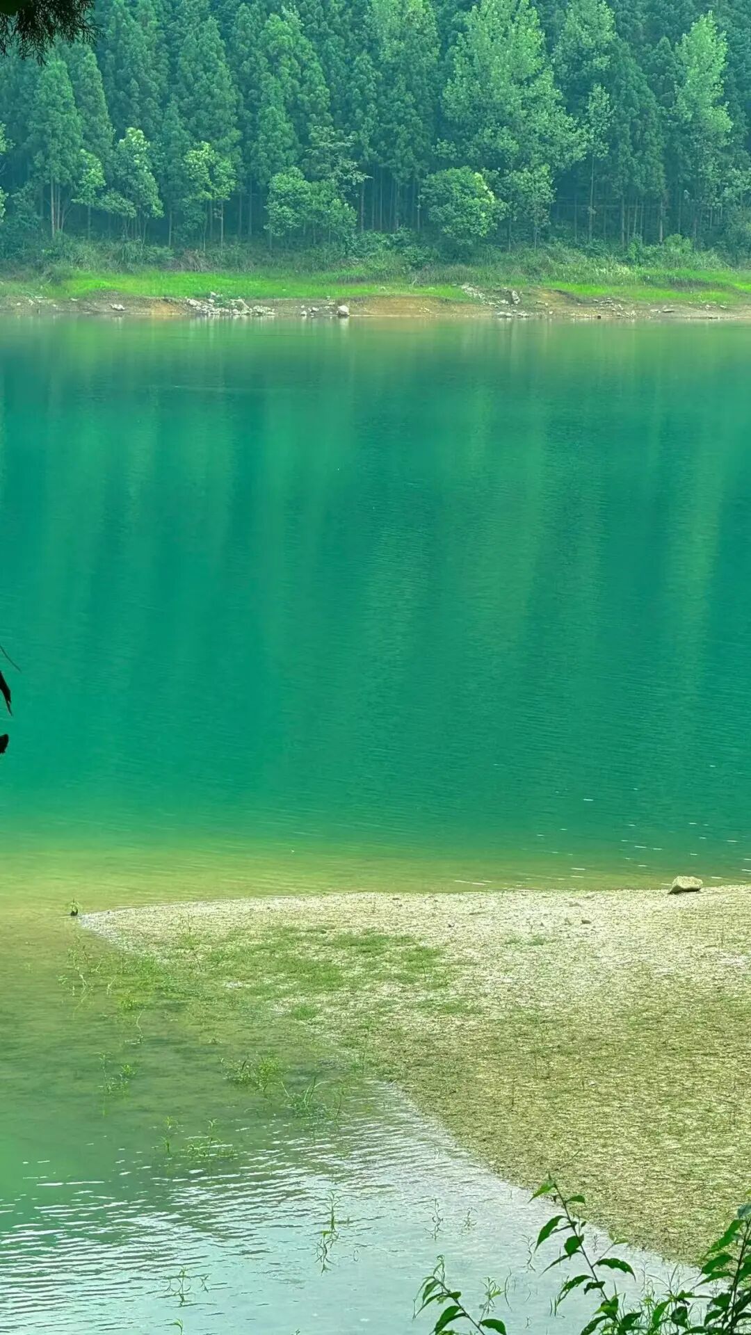 夏天仅19℃！比贵阳还好吃，中国唯一的凉都，人均30元炫火锅，碳水遍地！