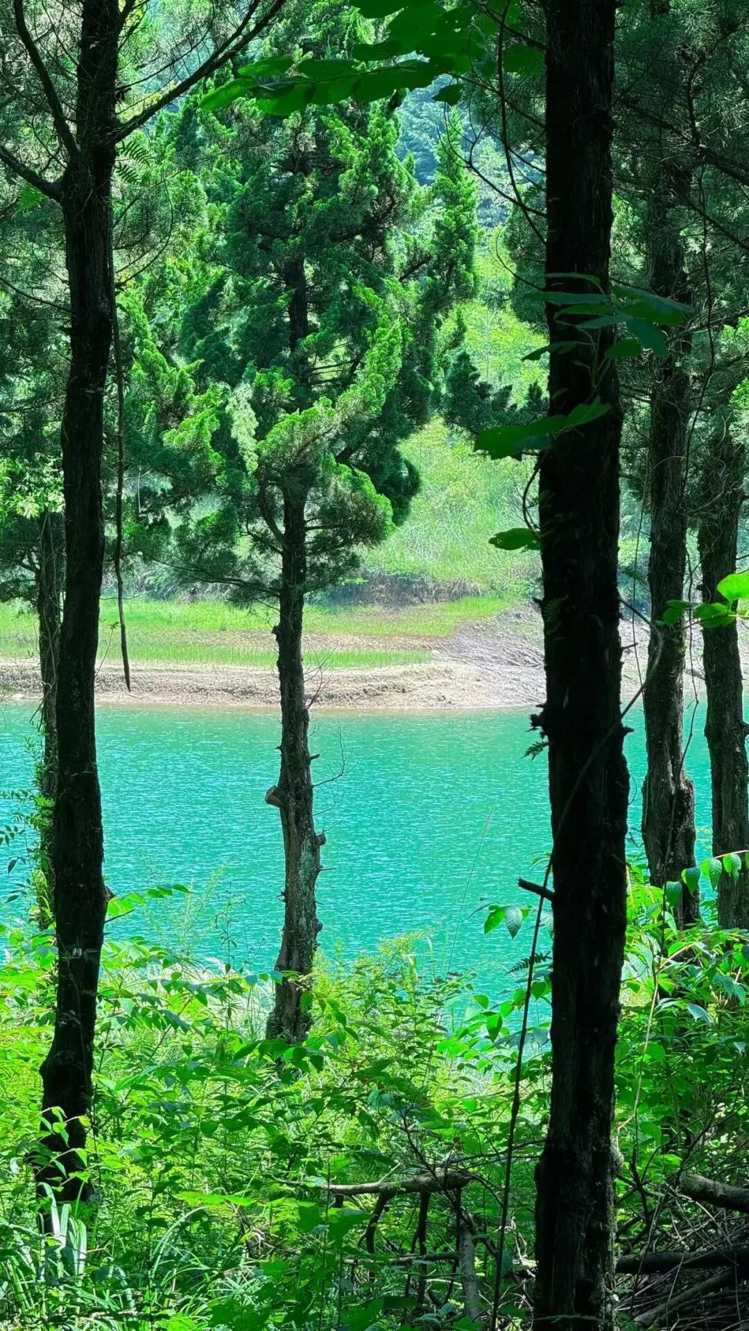 夏天仅19℃！比贵阳还好吃，中国唯一的凉都，人均30元炫火锅，碳水遍地！