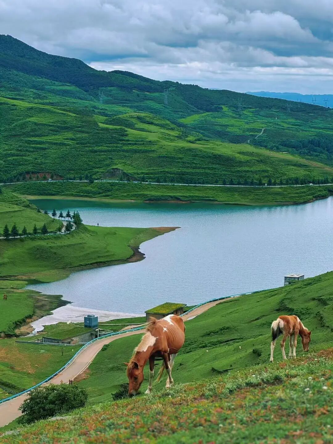 夏天仅19℃！比贵阳还好吃，中国唯一的凉都，人均30元炫火锅，碳水遍地！