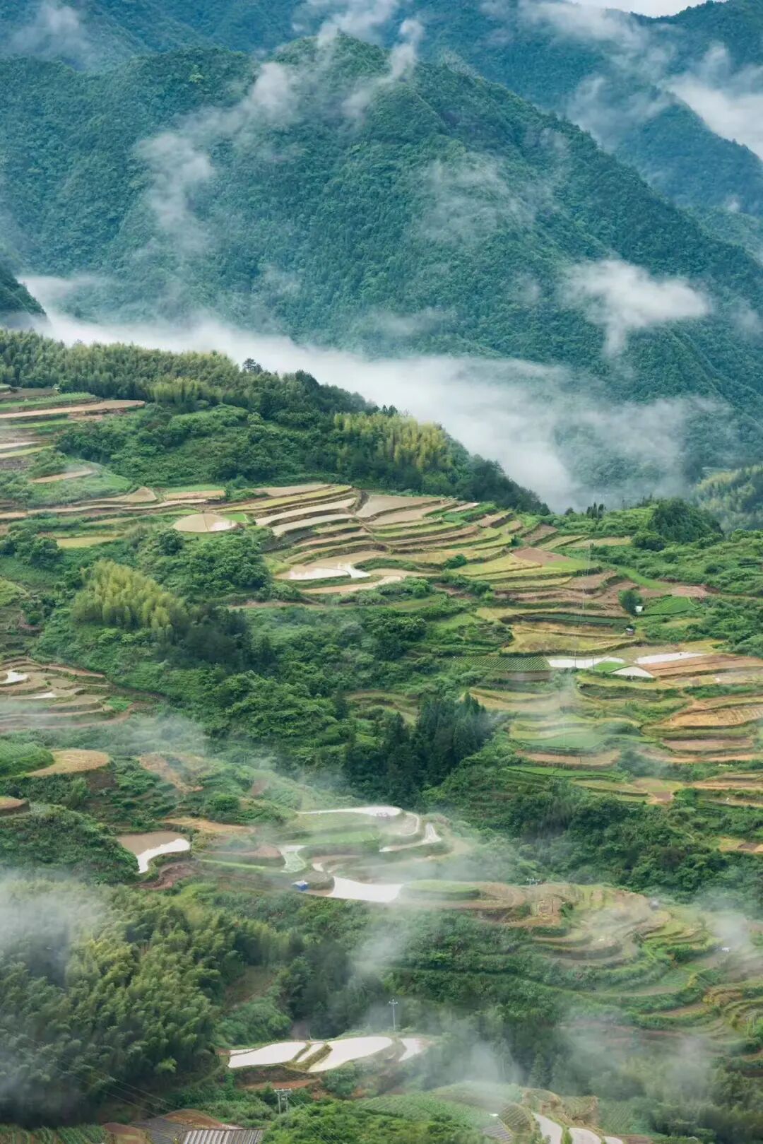 比乐山佛系，秒去班味，40mins直达爆冷清凉城，遍地糯叽叽，饭张力200%