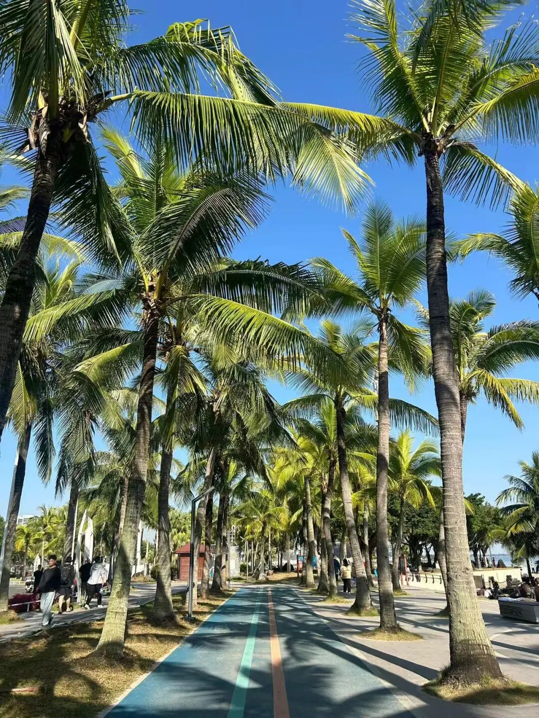 挖到最好吃小城，比顺德，潮汕还生猛，吃一周胖了8斤！还有超好玩海岛，来这里玩太爽了吧