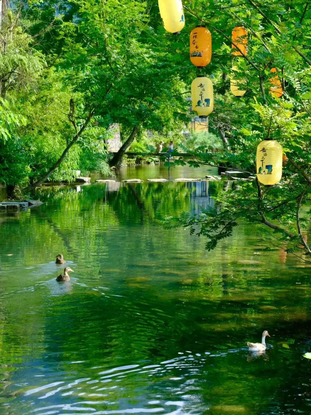 被严重低估的“中国抹茶之都”，清凉不输安顺，一天炫10顿，太适合一个人来放松了