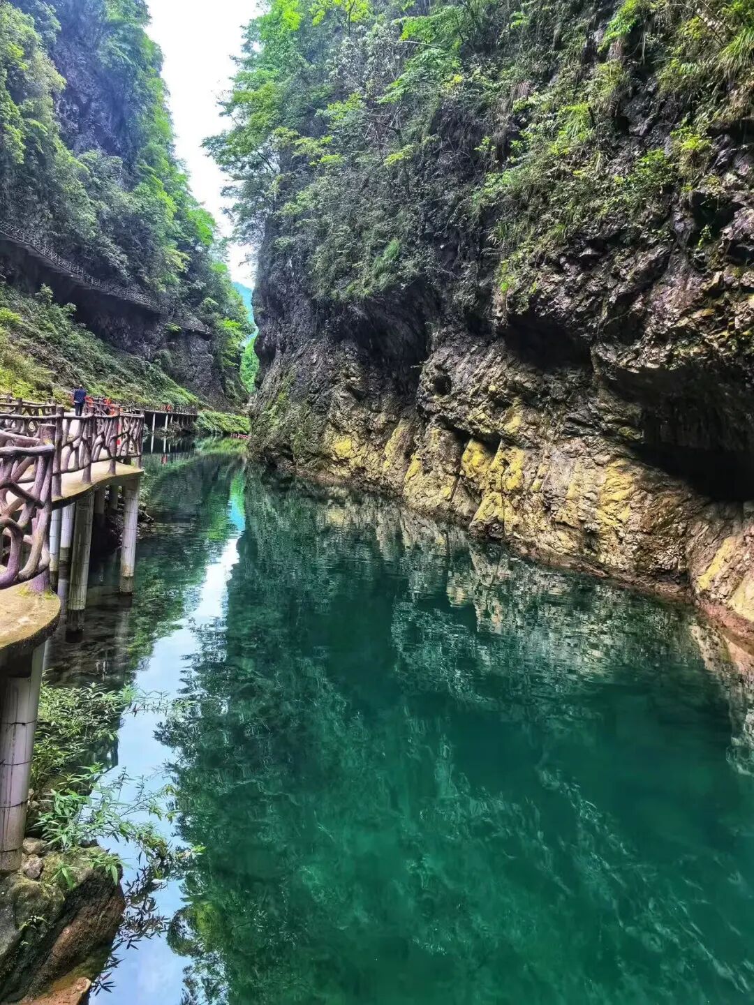 被严重低估的“中国抹茶之都”，清凉不输安顺，一天炫10顿，太适合一个人来放松了