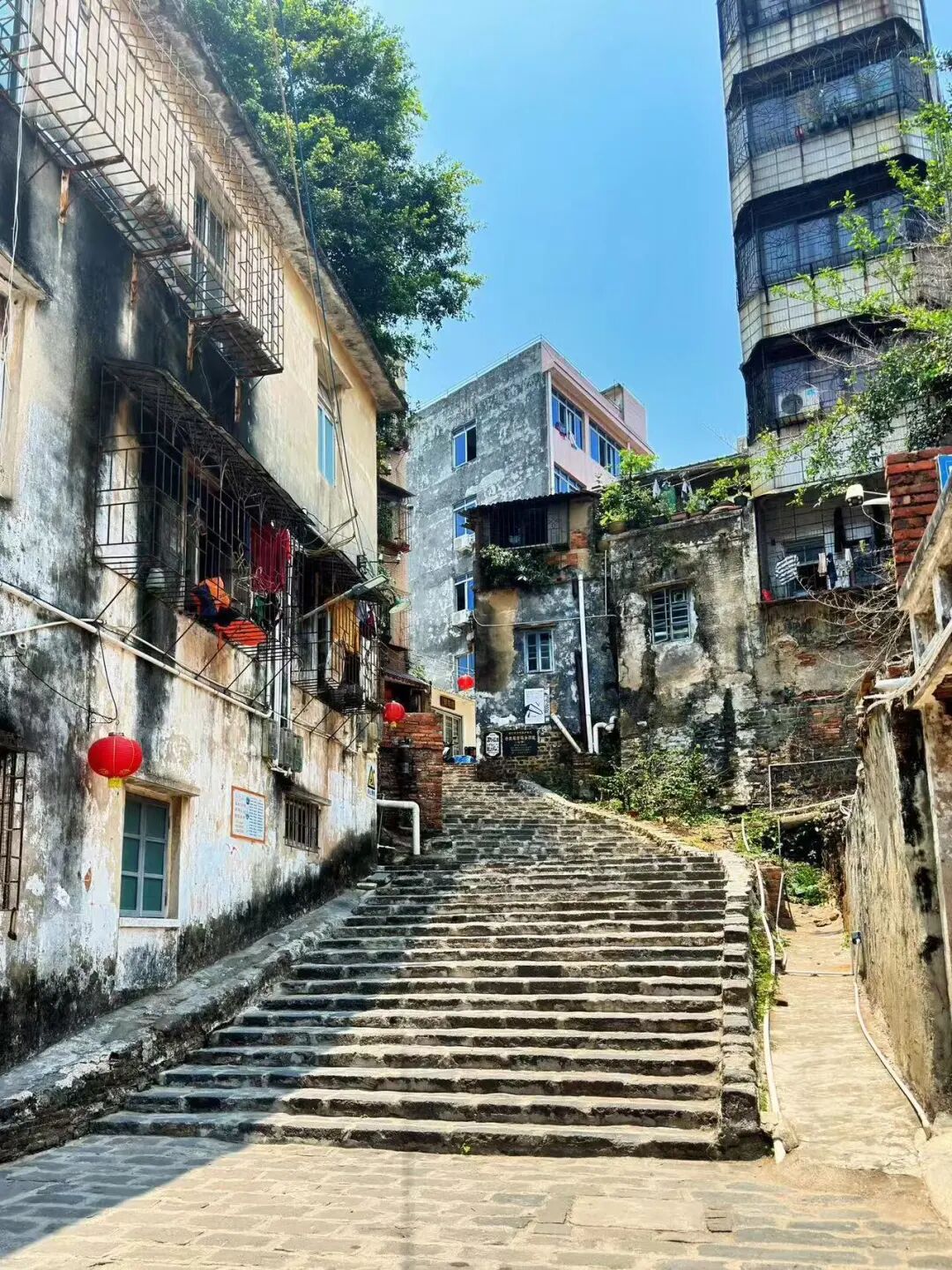 挖到最好吃小城，比顺德，潮汕还生猛，吃一周胖了8斤！还有超好玩海岛，来这里玩太爽了吧