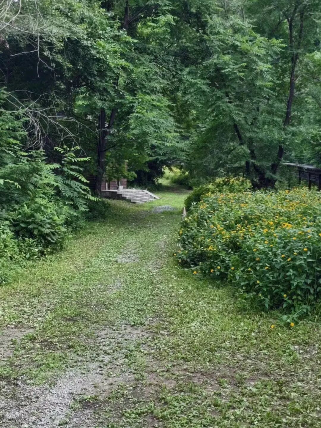 9.28日新高铁开通！最快1.5h到达「中国小瑞士」，还能解锁一个超小众城市，收获国内top级美景