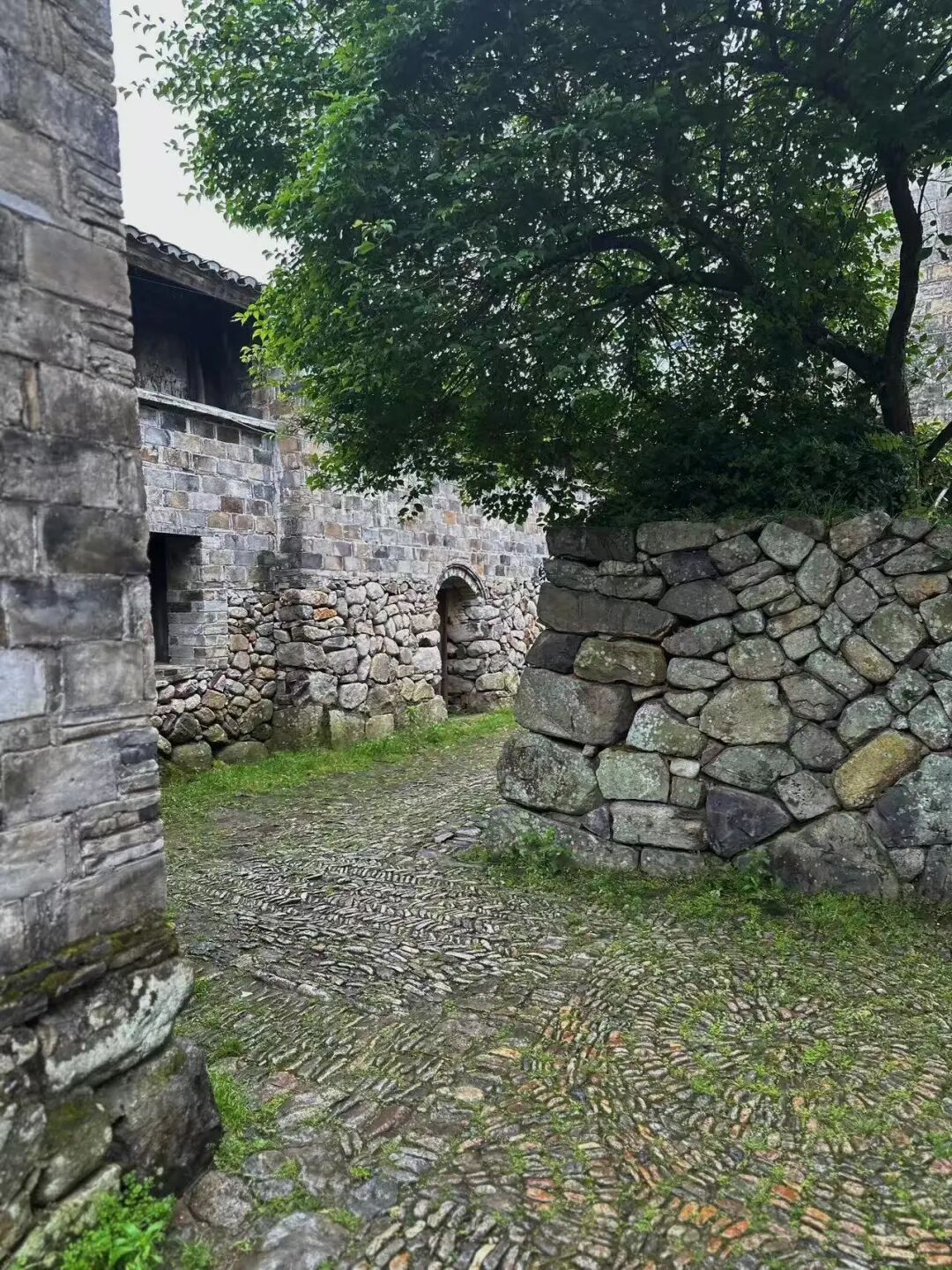 高铁20分钟，淡季必冲的看海小城，被誉为“中国小海鲜之乡”，海鲜一年四季不断，青蟹香哭！