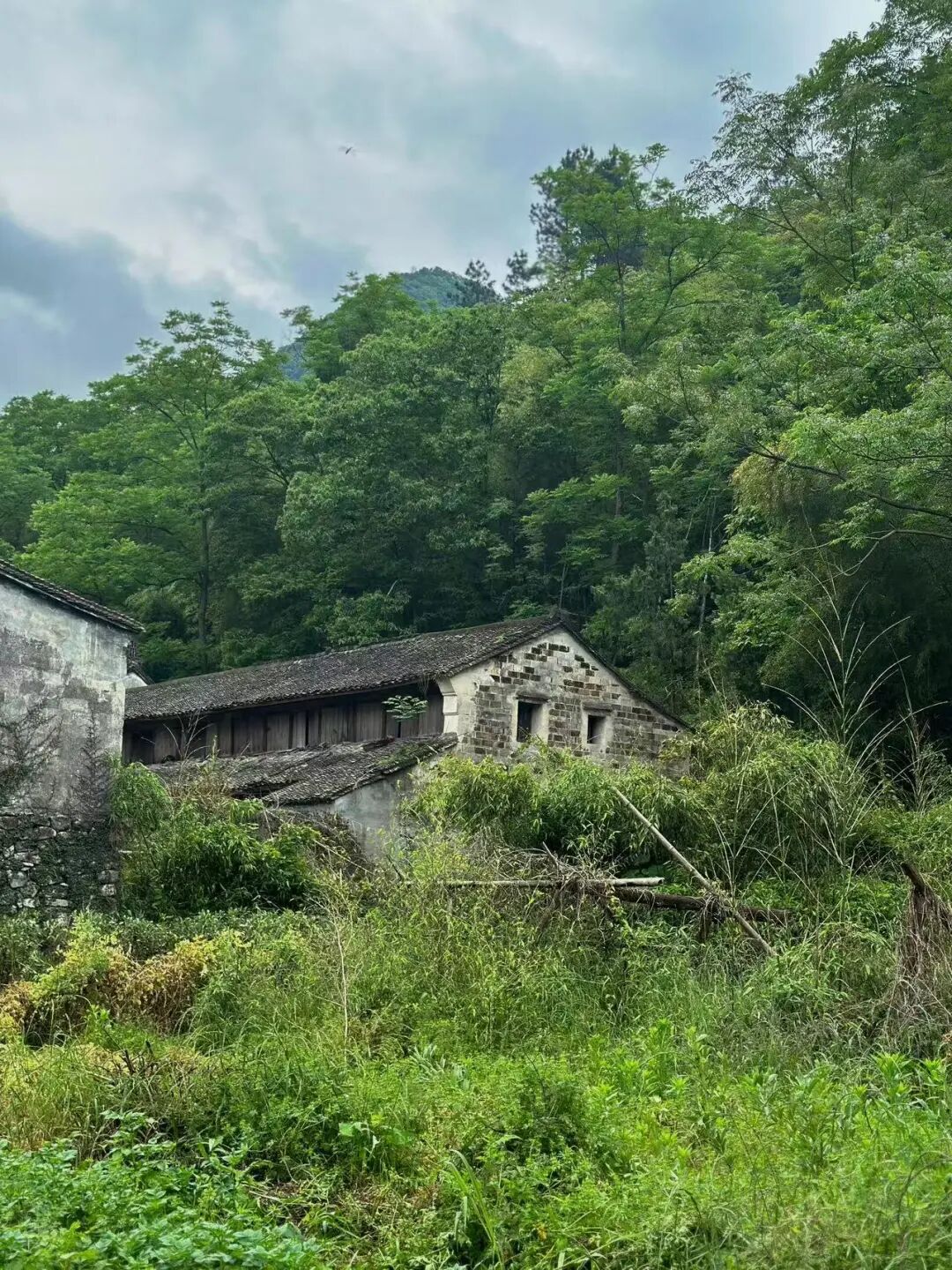 高铁20分钟，淡季必冲的看海小城，被誉为“中国小海鲜之乡”，海鲜一年四季不断，青蟹香哭！