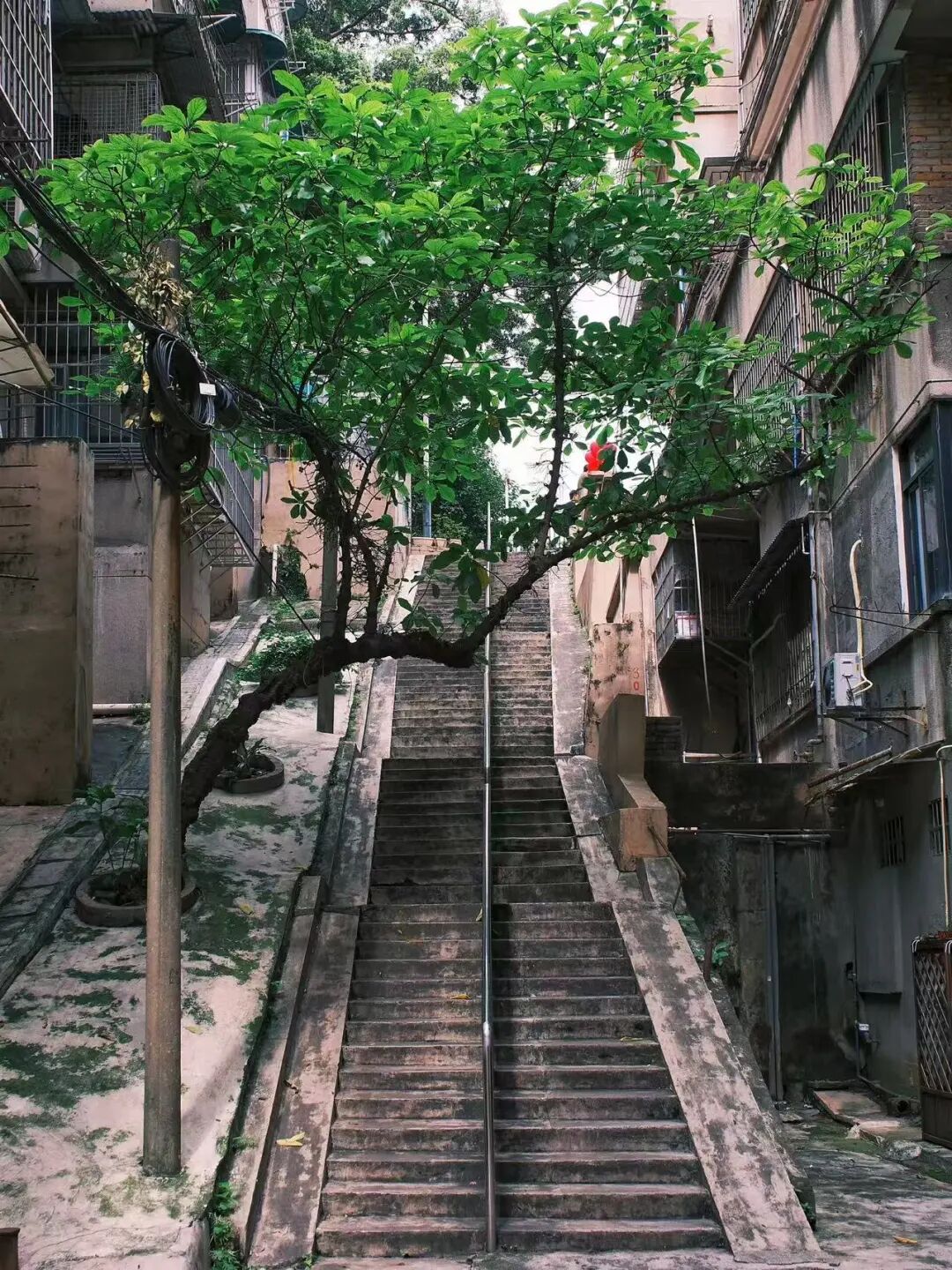 比上海松弛，比北京好吃！0元也能逛遍全城，这座“接地气”第一城，才是打工人出行最佳！