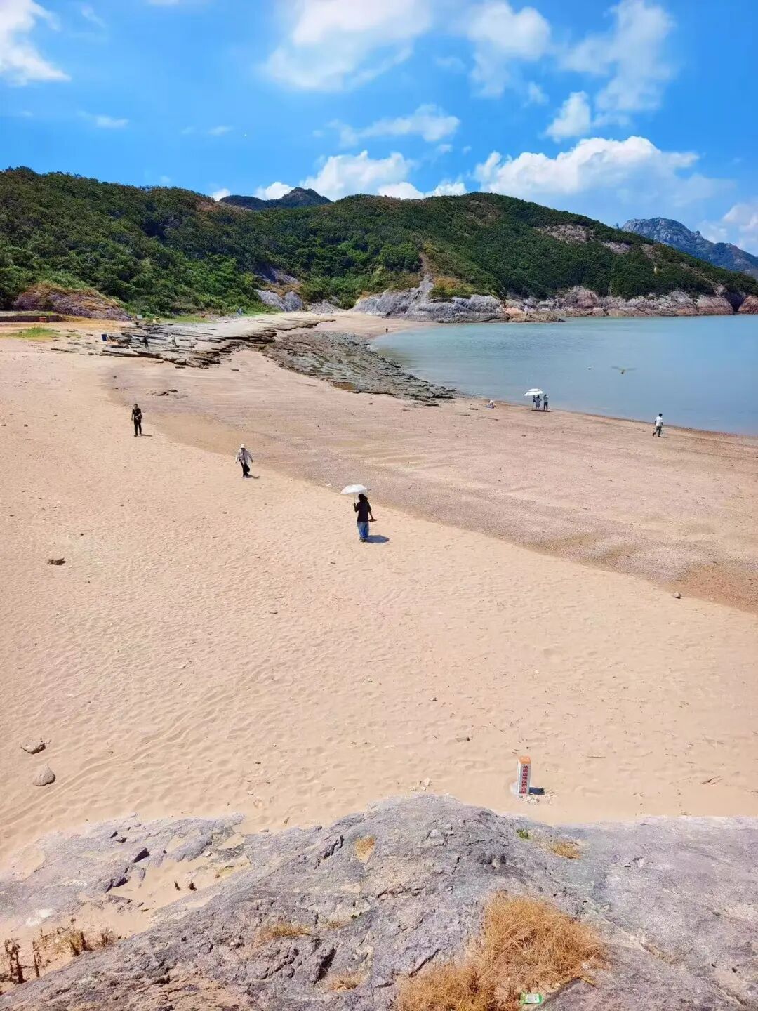 高铁20分钟，淡季必冲的看海小城，被誉为“中国小海鲜之乡”，海鲜一年四季不断，青蟹香哭！