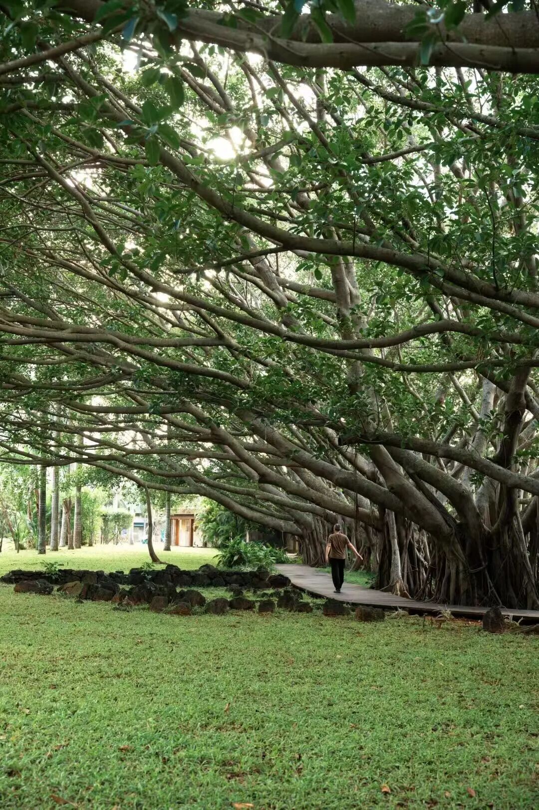 年味最浓的海滨慢城，游神不输福建，比三亚还便宜一半，春节来这里真惬意！