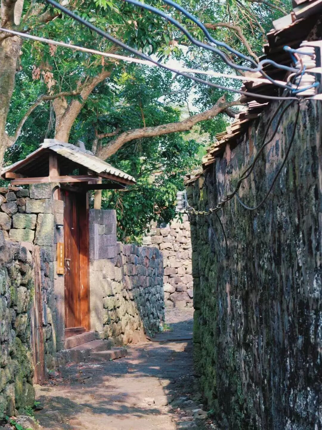 年味最浓的海滨慢城，游神不输福建，比三亚还便宜一半，春节来这里真惬意！