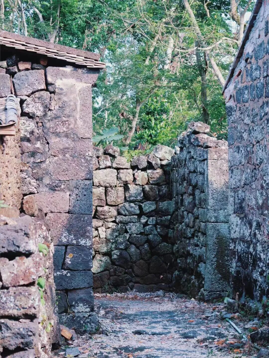 年味最浓的海滨慢城，游神不输福建，比三亚还便宜一半，春节来这里真惬意！